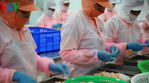 เวียดนามพยายามบรรลุมูลค่าการส่งออกสัตว์น้ำ 7.5 พันล้านดอลลาร์สหรัฐในปี 2017